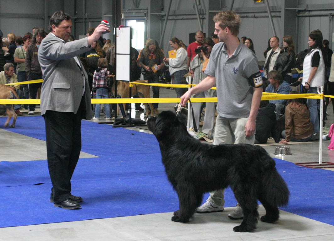 Psi třída mladých